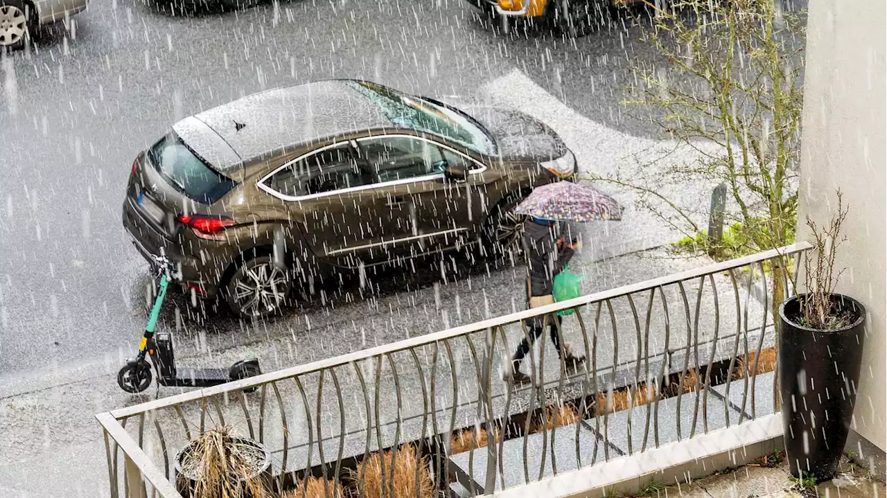 Bauernregeln und das Berliner Wetter: Kommt nach dem milden Winter der Frühling früher?