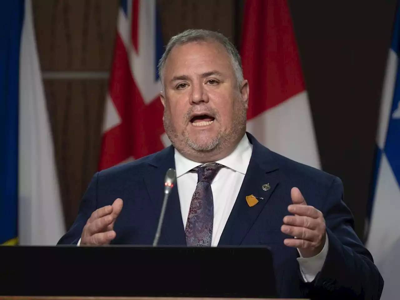 NDP seeks to probe federal contracts with other consulting firms — not just McKinsey