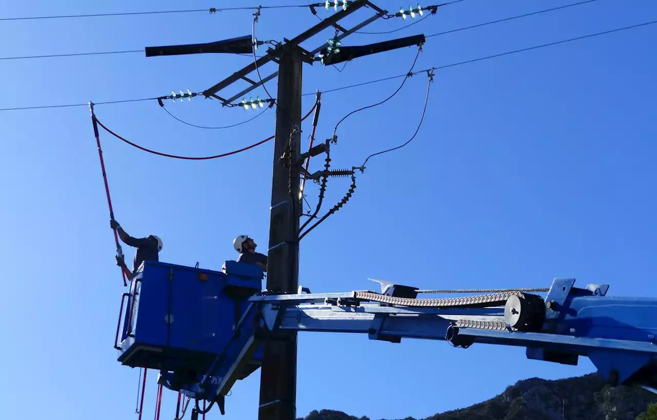 Des dispositifs sur les lignes électriques pour protéger les grands oiseaux