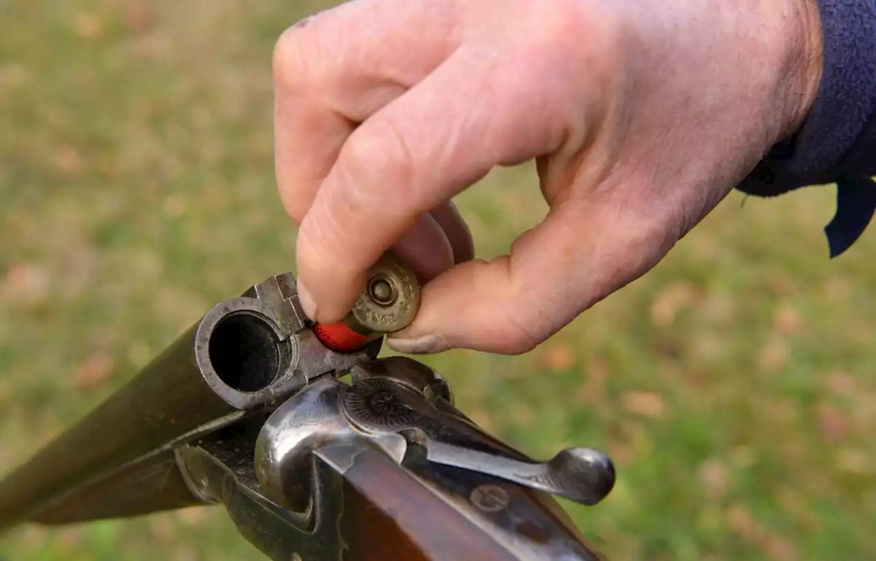 Un promeneur blessé à la jambe par un tir de chasseur en Corrèze