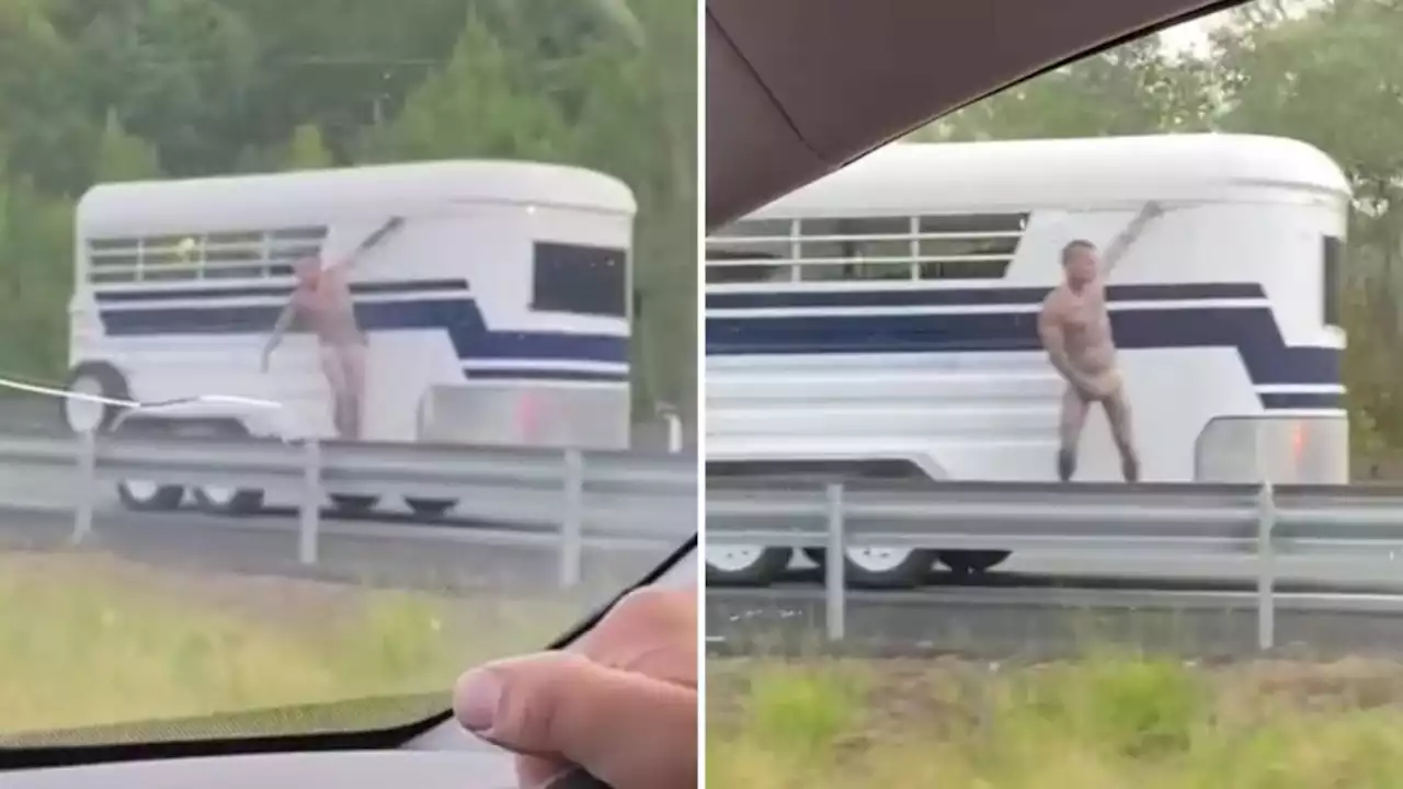 Motorists faced with bizarre sight on Queensland highway