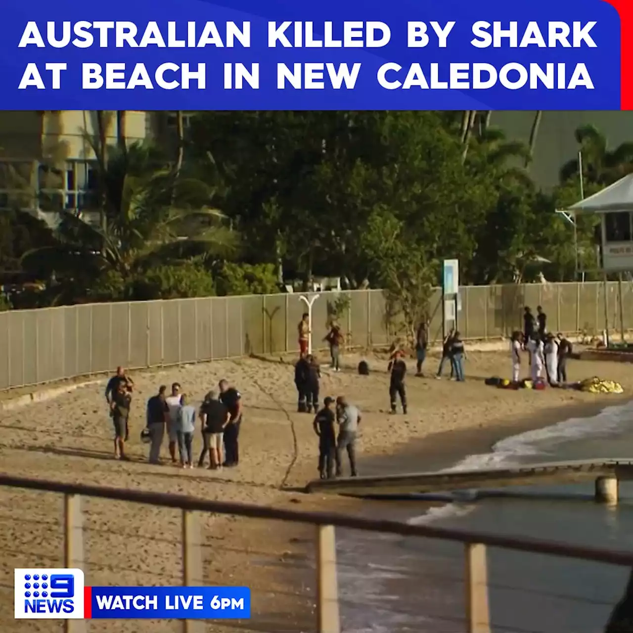 Australian tourist killed by shark in New Caledonia, reports say