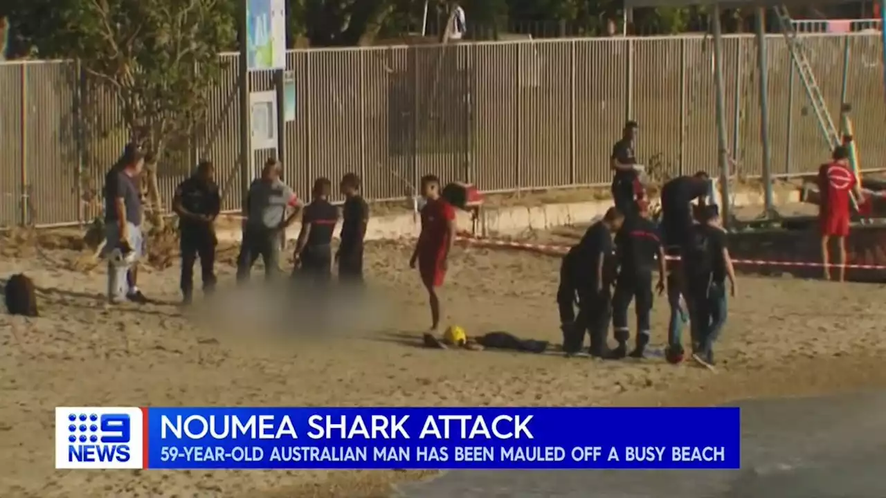 Australian tourist killed by shark in New Caledonia