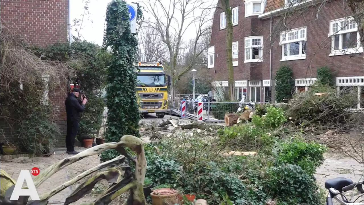 Het kleinste park van Amsterdam is niet meer