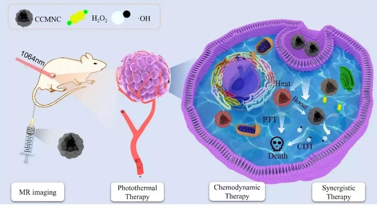 Magnetite Nanoclusters Covered in Carbon Could Boost Cancer Therapy