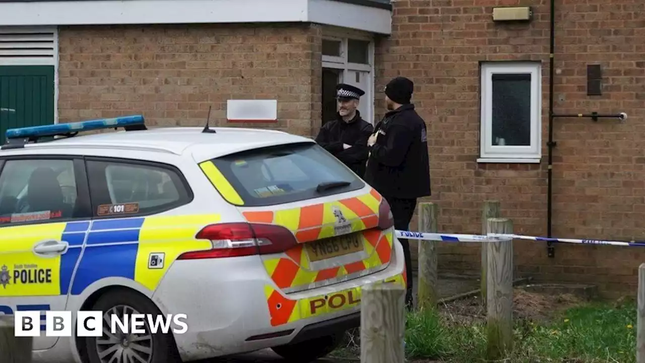 Sheffield: Woman found dead at Woodhouse flat