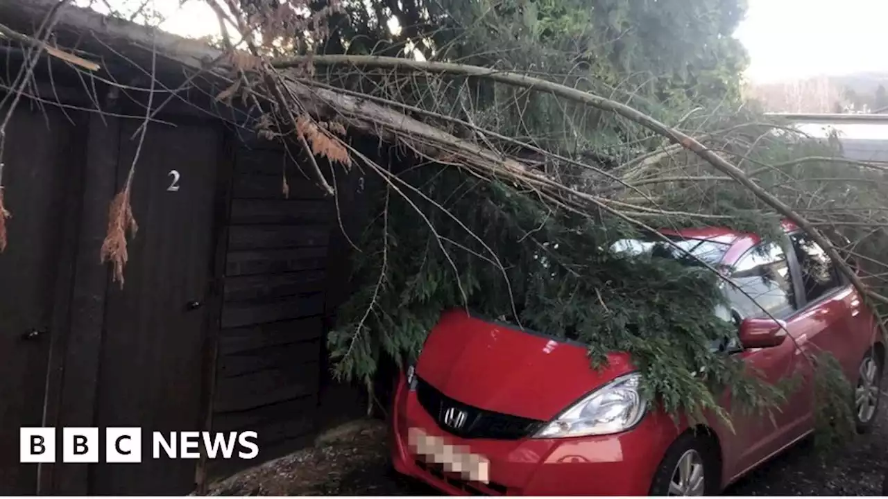 Power restored to all homes cut off in Storm Otto