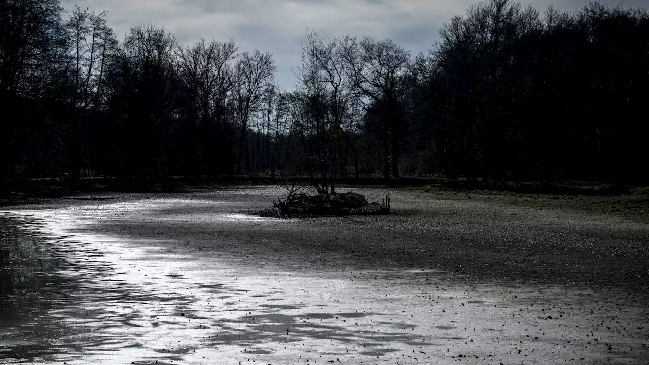 Comment les températures anormalement douces ont aggravé la sécheresse hivernale