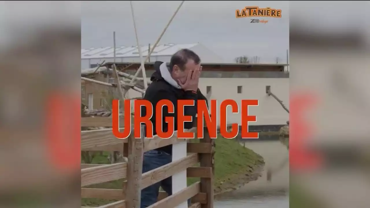 Eure-et-Loir: le SOS d'un zoo-refuge pour sauver ses 650 animaux