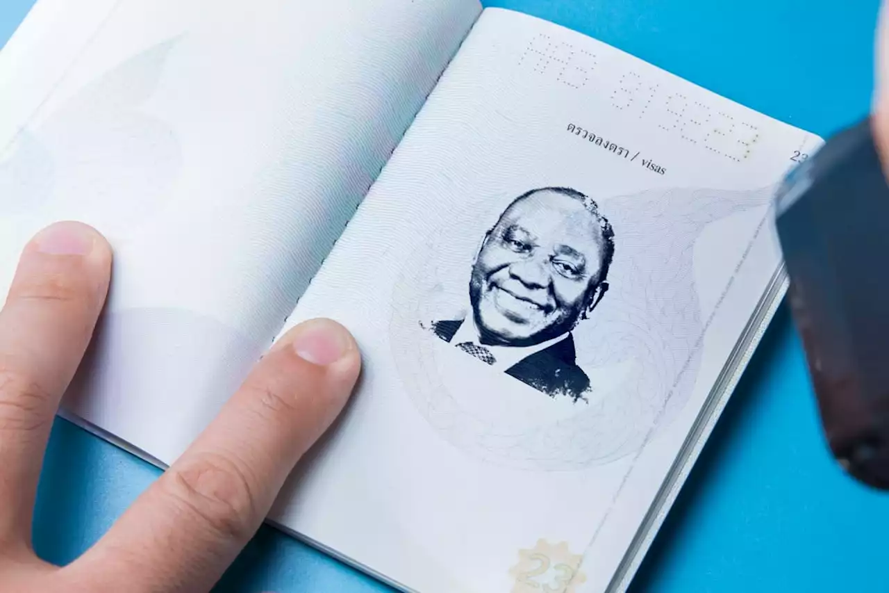 Concern over new visa to attract skilled workers in South Africa