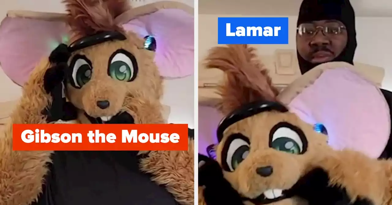 This TikTok Creator Wants To Normalize Furry Fandom In The Black Community And Beyond