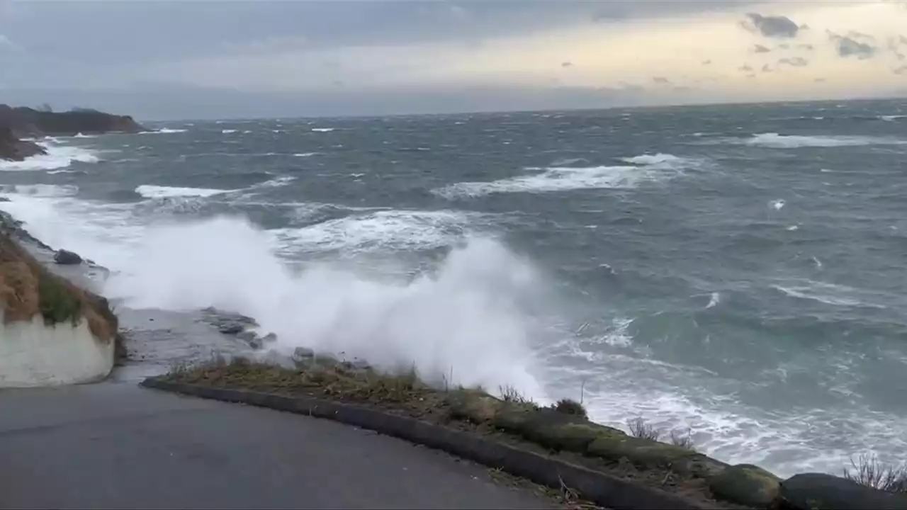 Wind warnings issued for Greater Victoria, western Vancouver Island