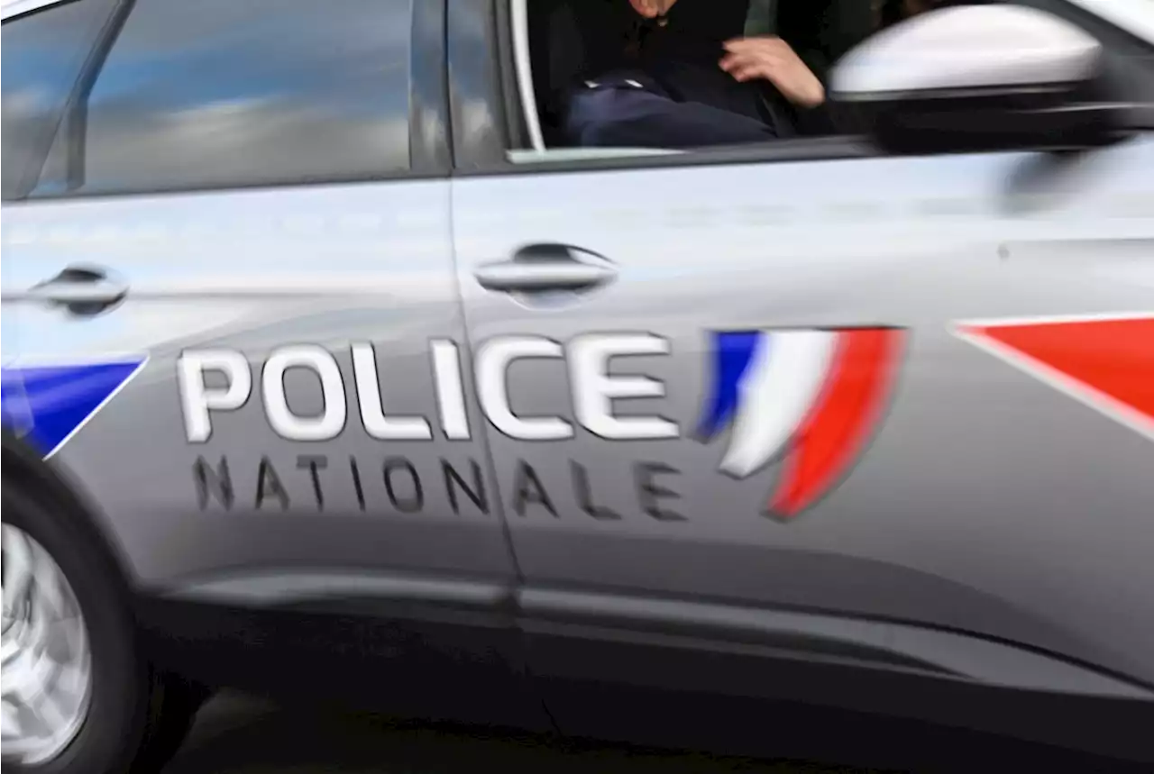 Montpellier : un chien ramène un crâne humain à son maître