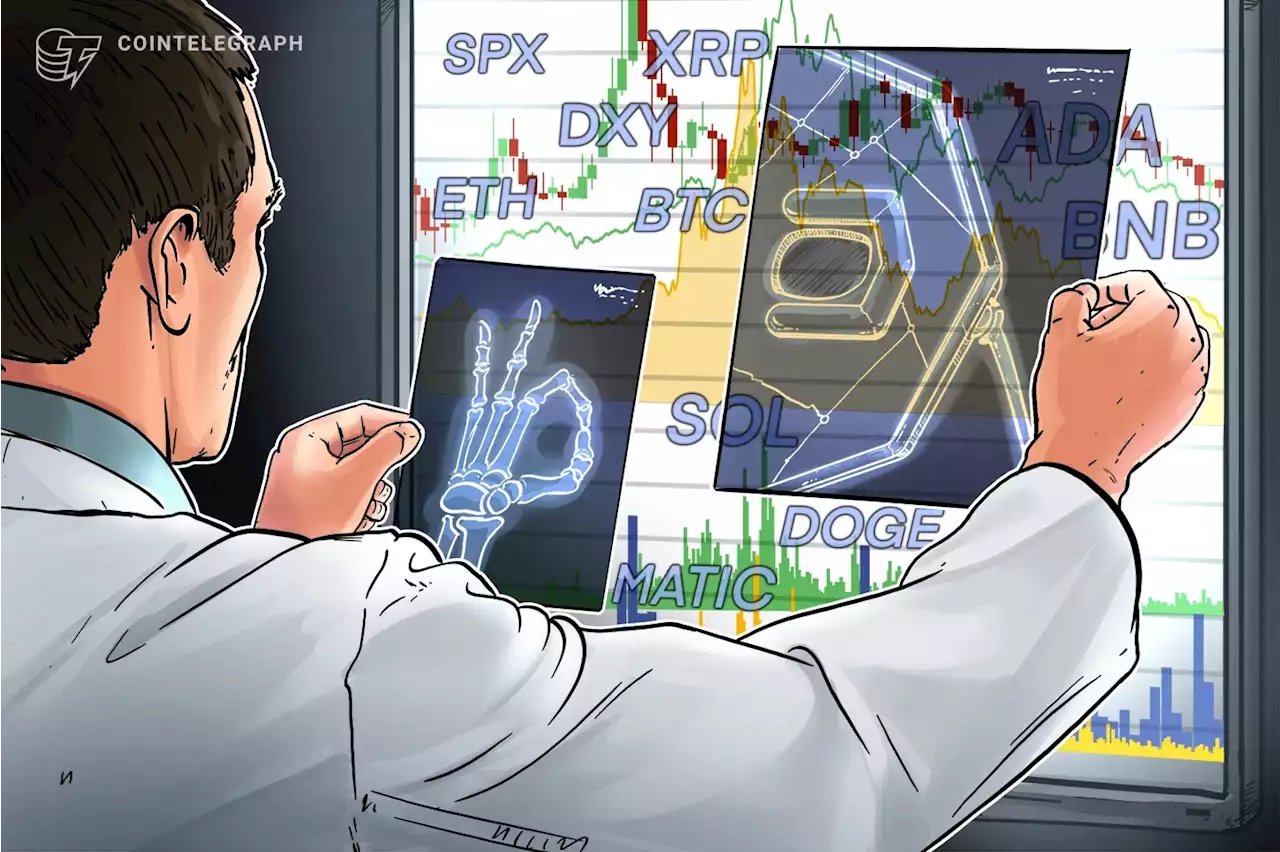 Price analysis 2/20: SPX, DXY, BTC, ETH, BNB, XRP, ADA, MATIC, DOGE, SOL