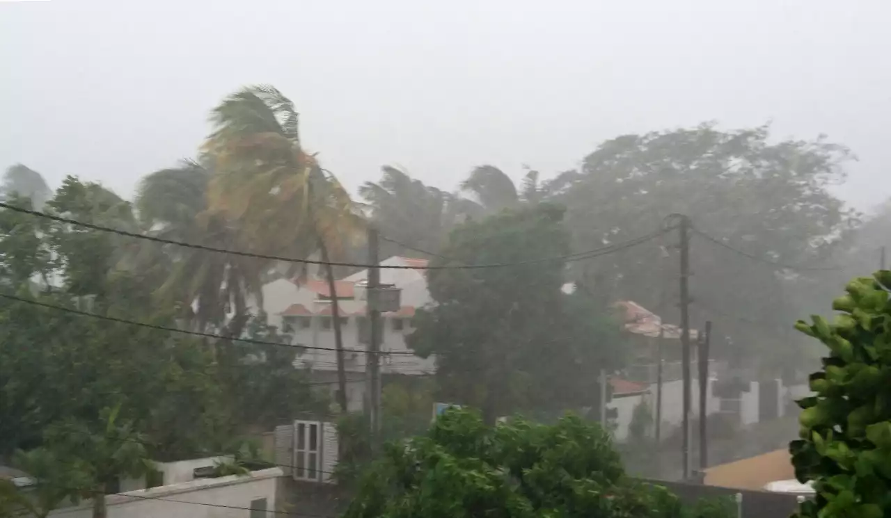 Cyclone Freddy : Mauritius halts flights, Madagascar braces for floods as cyclone Freddy nears