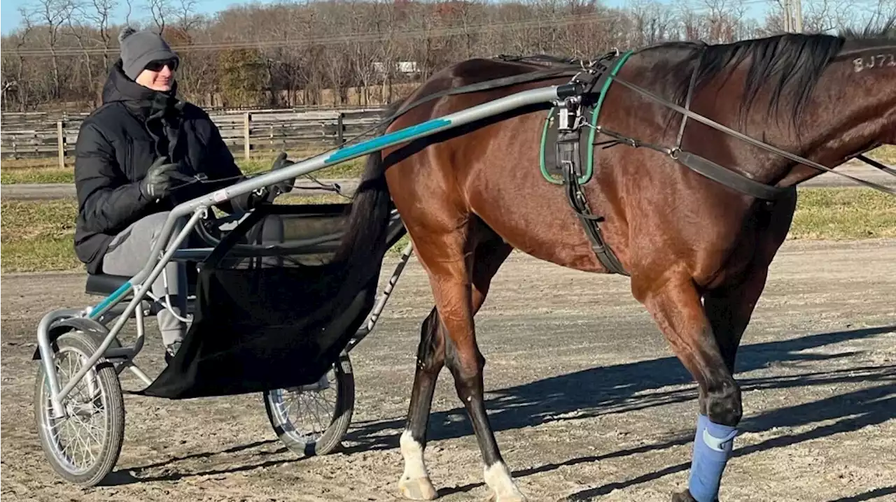 Inside Nikola Jokic’s unlikely friendship with Hall of Fame harness racer Tim Tetrick: “You’ve got my dream job”