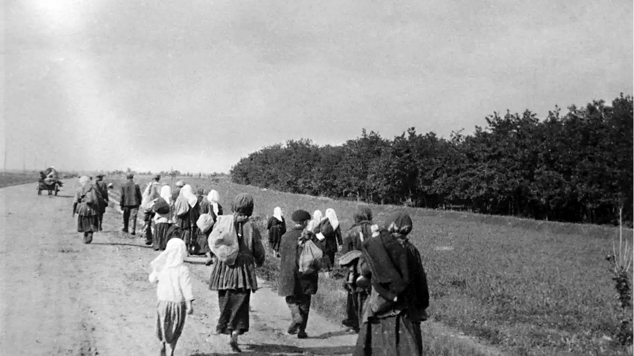 Guerre en Ukraine : 'Moissons sanglantes', un documentaire pour raconter le 'degré d'horreur' de l'Holodomor, génocide ordonné par Staline