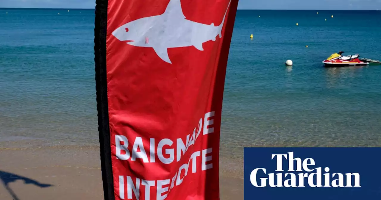 Shark attack kills Australian tourist at crowded beach in New Caledonia