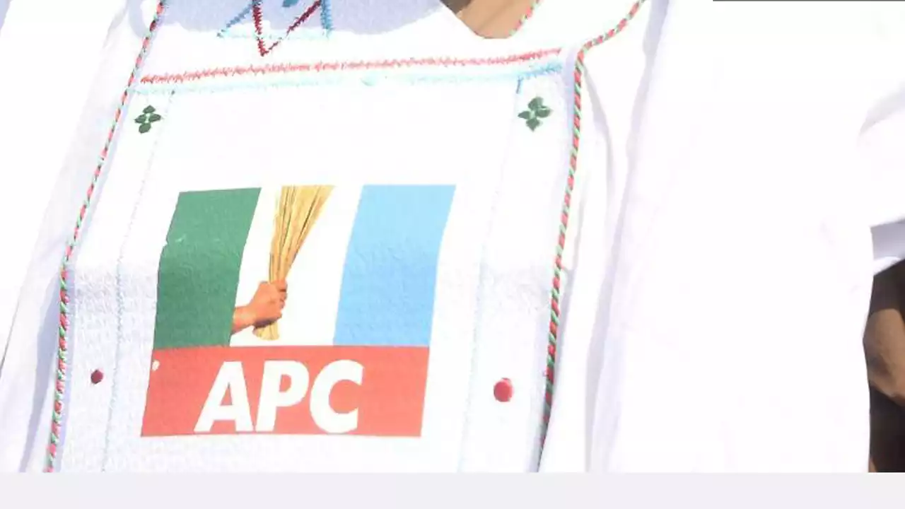 APC suspends Northeast vice chairman over anti-party activities | The Guardian Nigeria News - Nigeria and World News