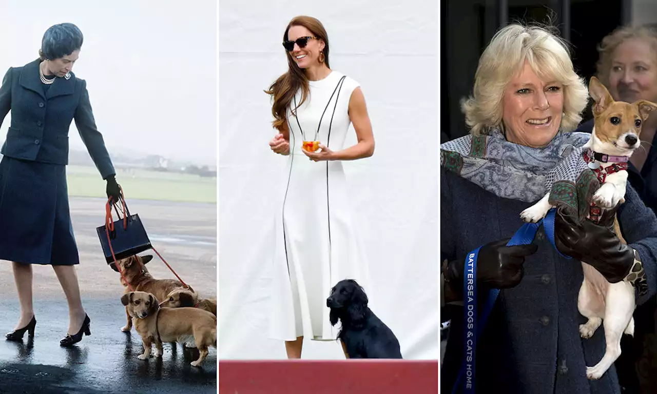 11 royals and their beloved pet dogs in photos