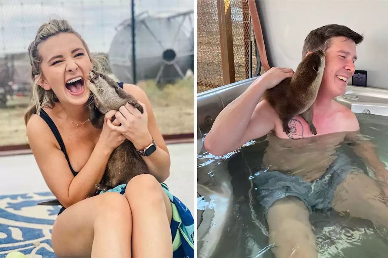 This Texas ranch resort lets you swim with otters in a hot tub