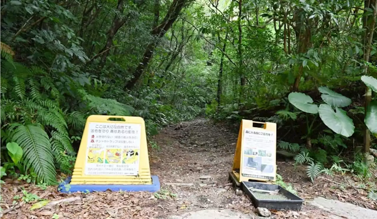 「まさか、慣れているはずの私が…」世界遺産の山登りで遭難 残る食料はあめ玉1個 - トピックス｜Infoseekニュース