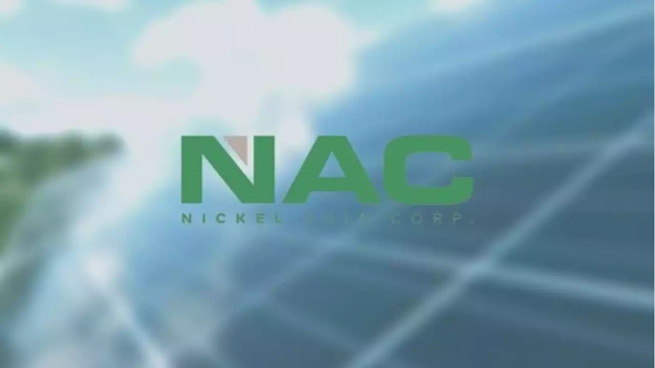 Nickel Asia exploring Davao mining deal