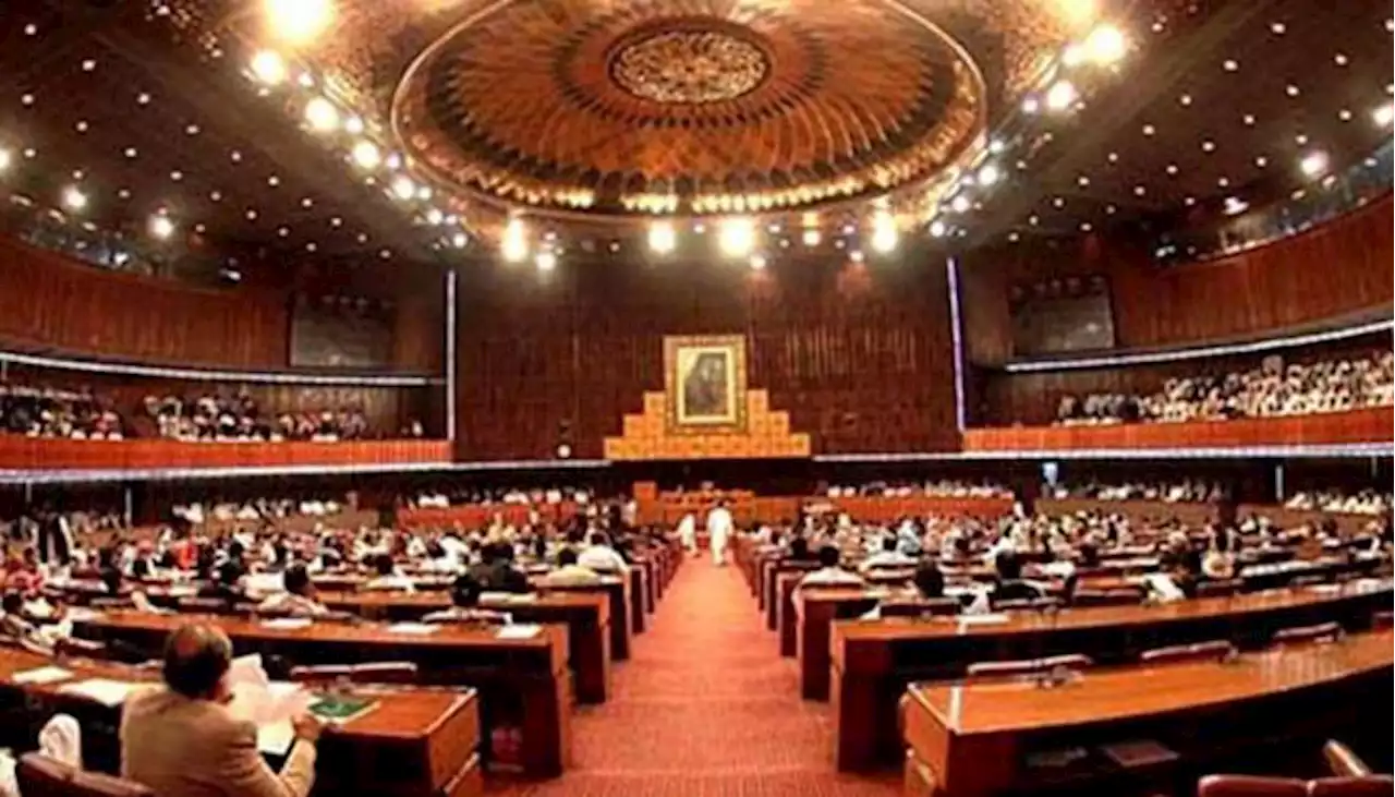 قومی اسمبلی: ضمنی فنانس بل 2023ء کثرت رائے سے منظور
