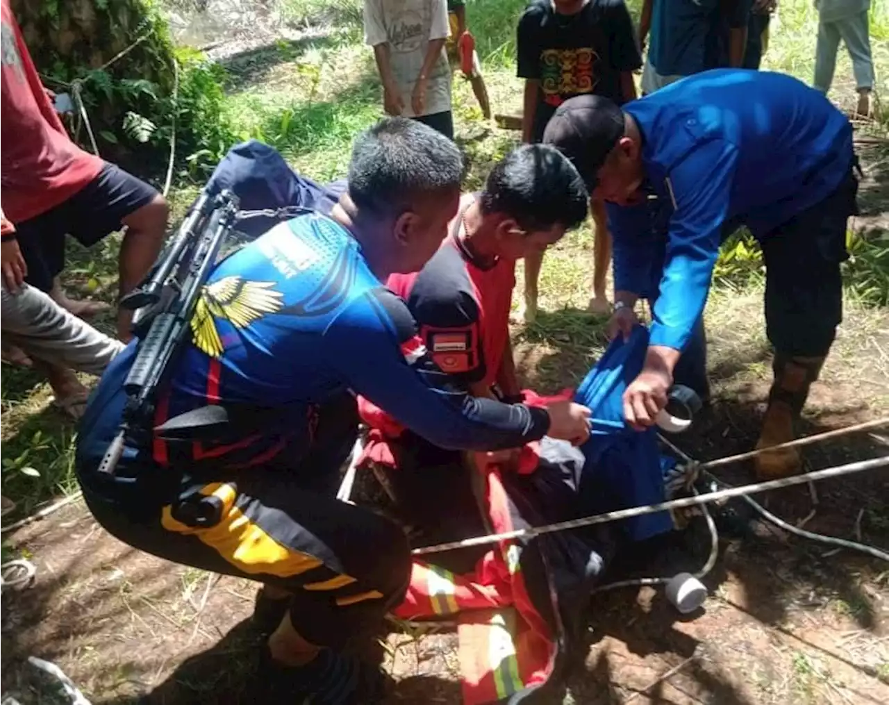 Buaya Berkeliaran di Kebun Sawit