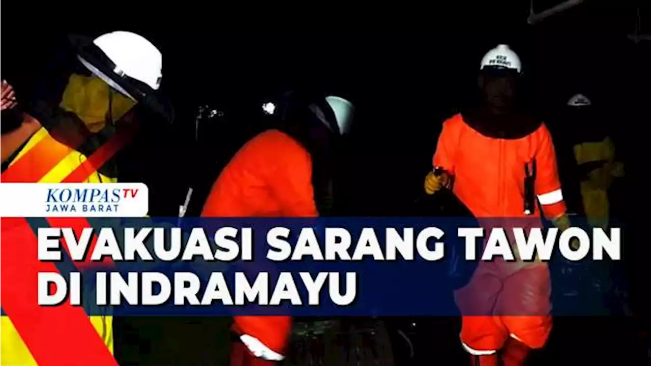 Membahayakan, Sarang Tawon Dievakuasi