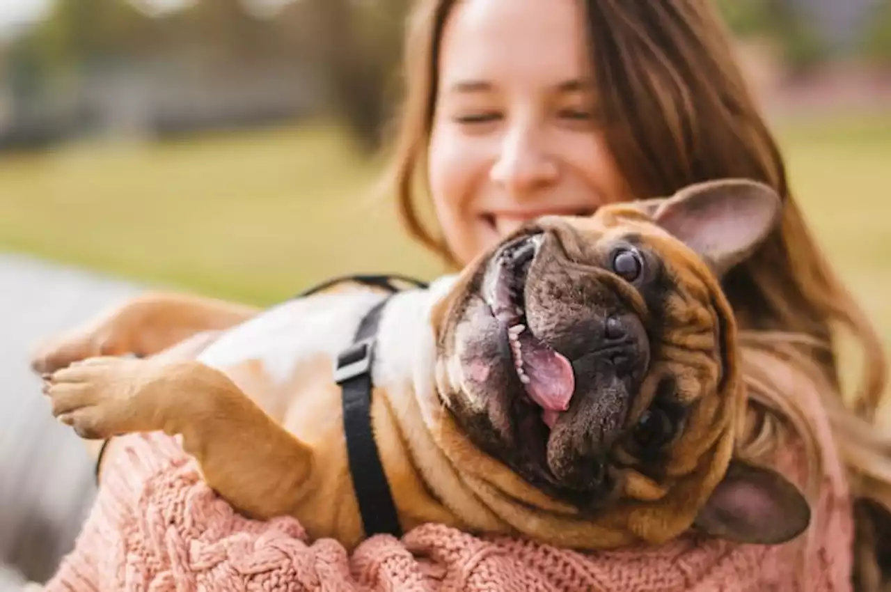 Free spay, neuter, and vaccine event for pets to be held in March