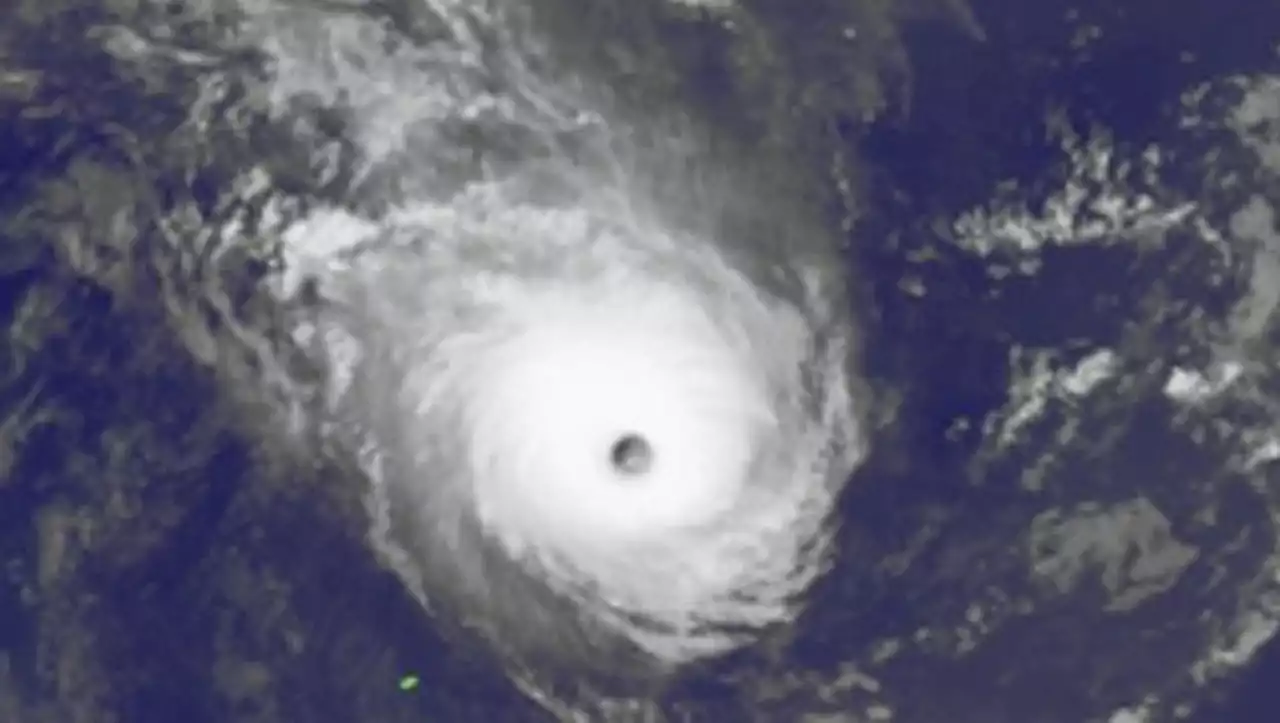 Cyclone Freddy : la Réunion pourrait être frappée par le 'monstre' ce lundi soir