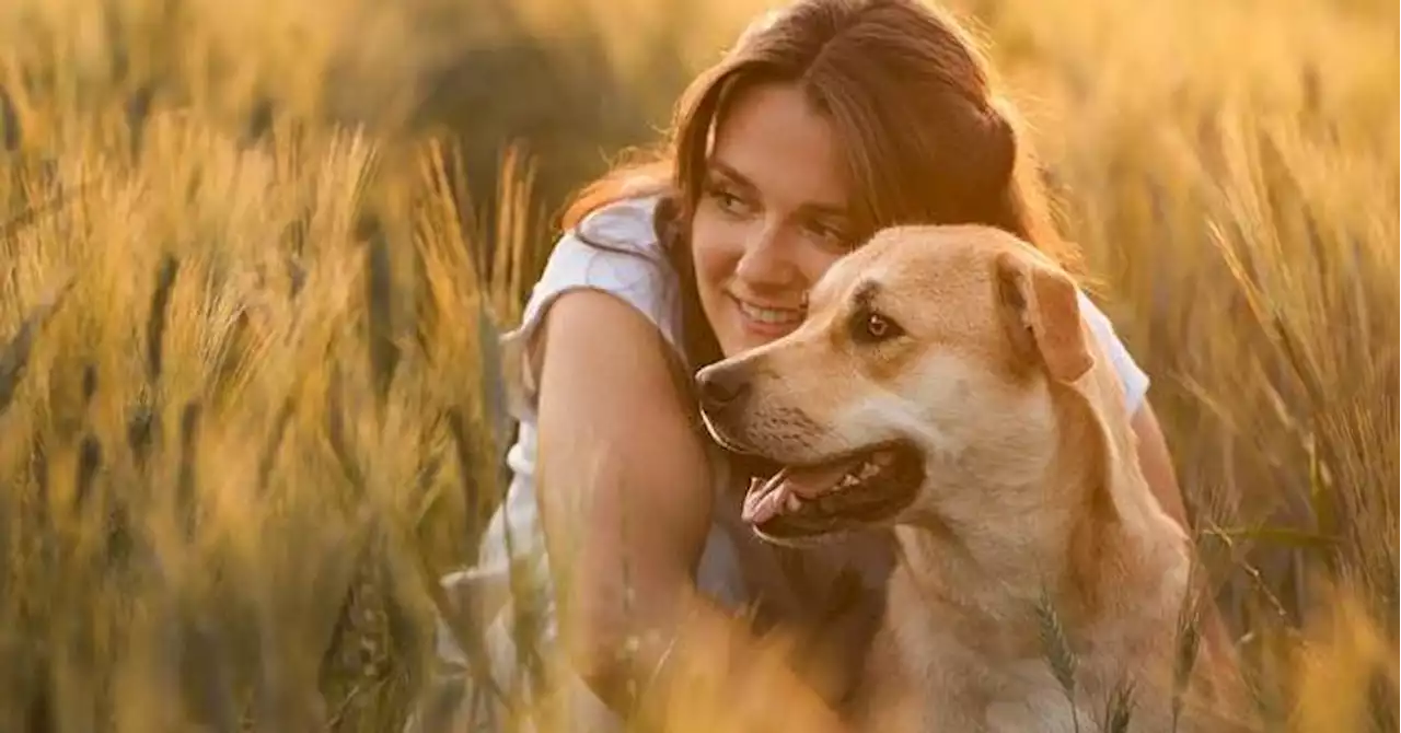 Istres : une collecte guidée par son amour pour les chiens