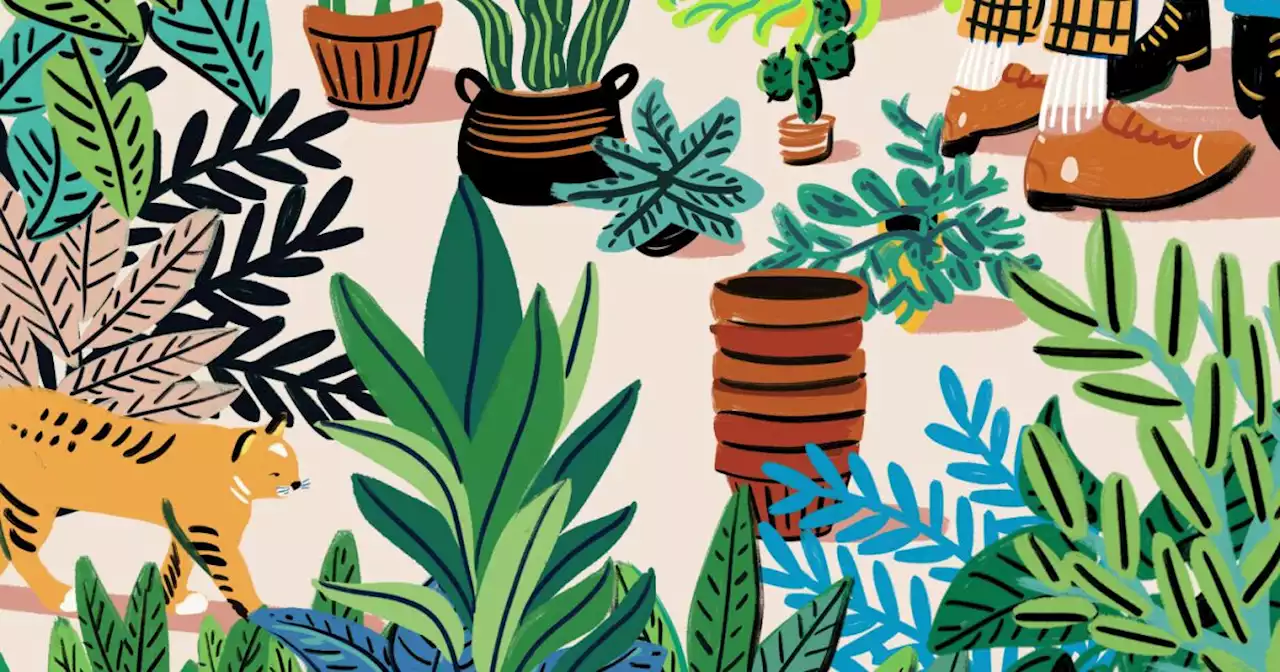 40 of the coolest plant shops you can find only in L.A.