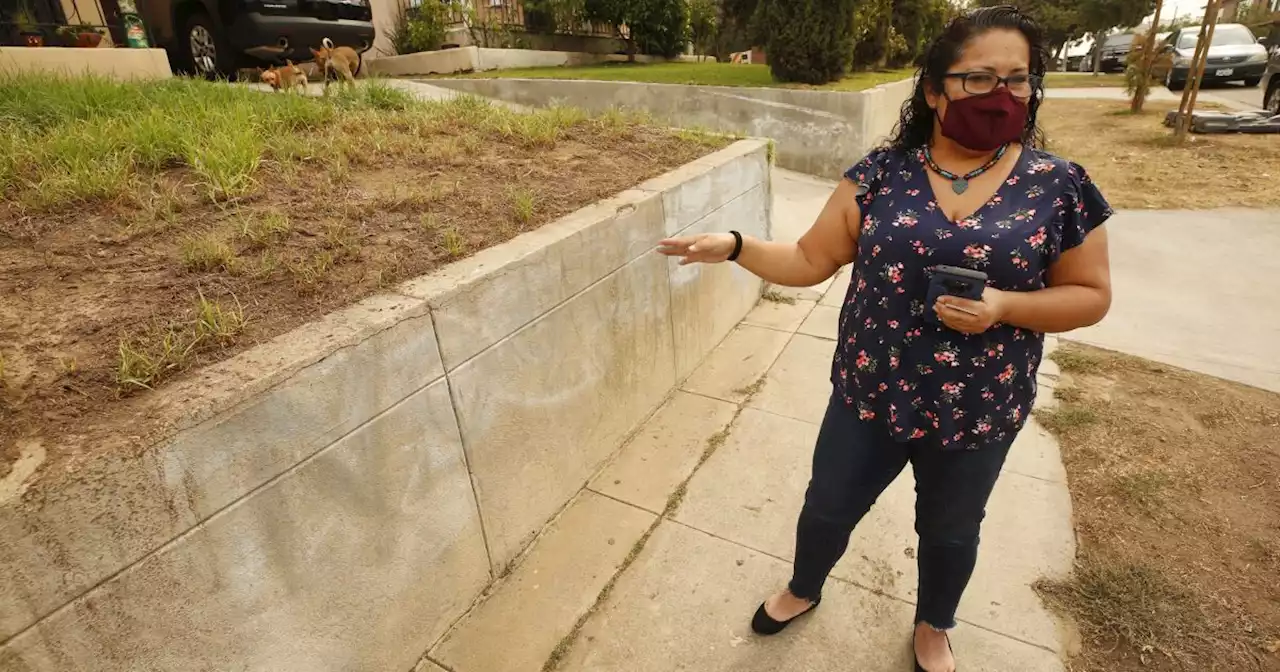 State agency forfeited cleanup funds for lead-contaminated parkways in Los Angeles County