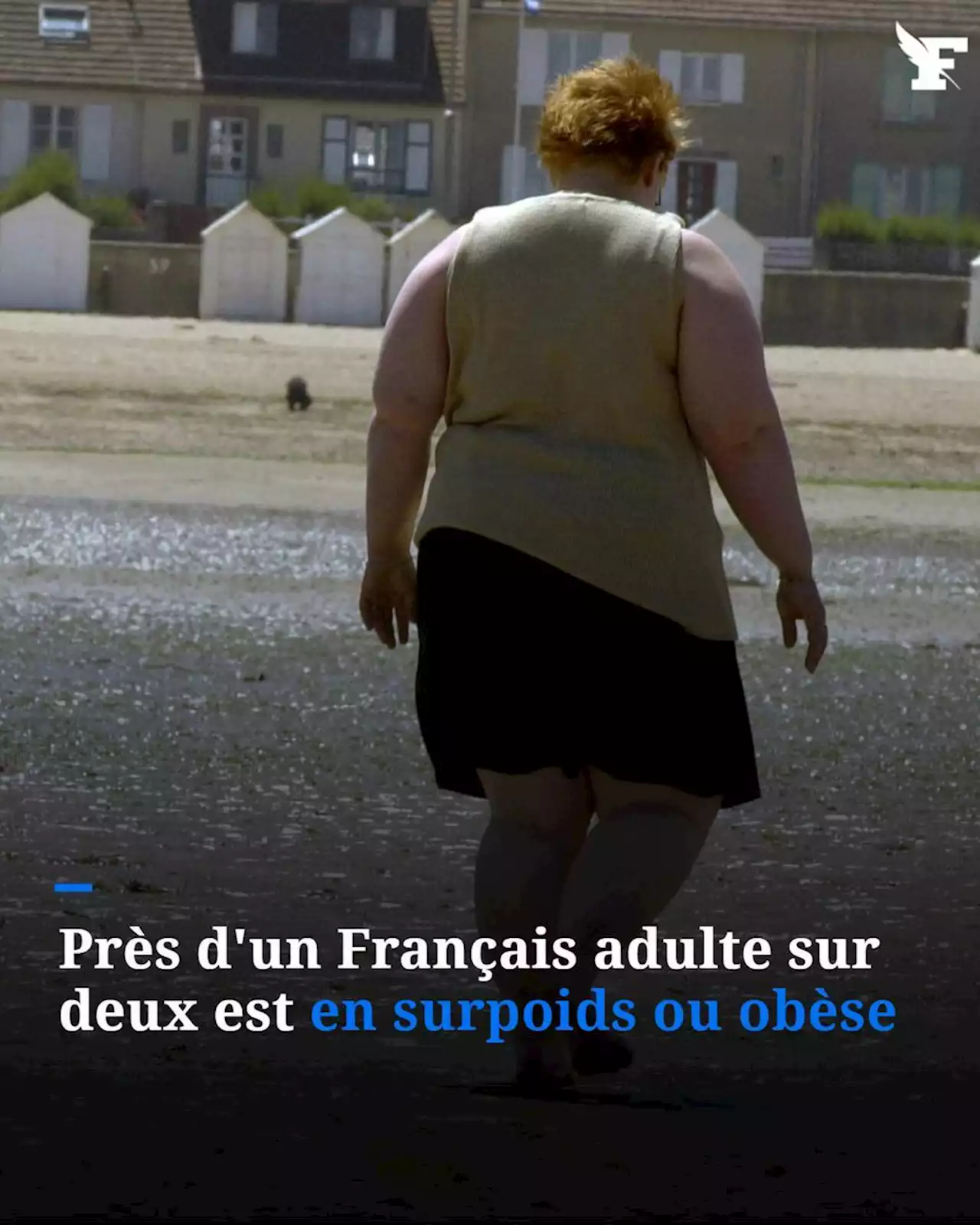 Près d'un Français sur deux est en situation de surpoids ou d'obésité