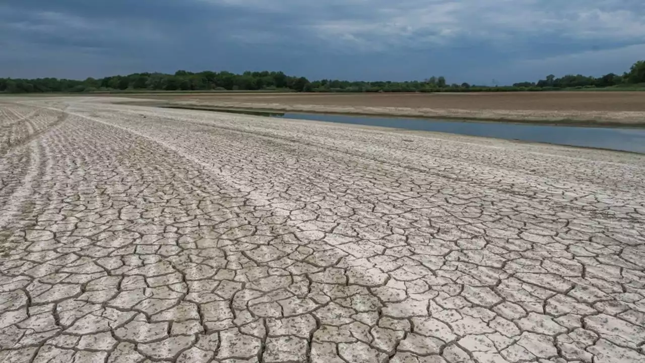 Climat : la France face à une sécheresse hivernale inédite