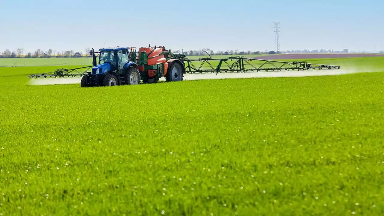 Les agriculteurs plus exposés que les autres entrepreneurs au risque de burnout