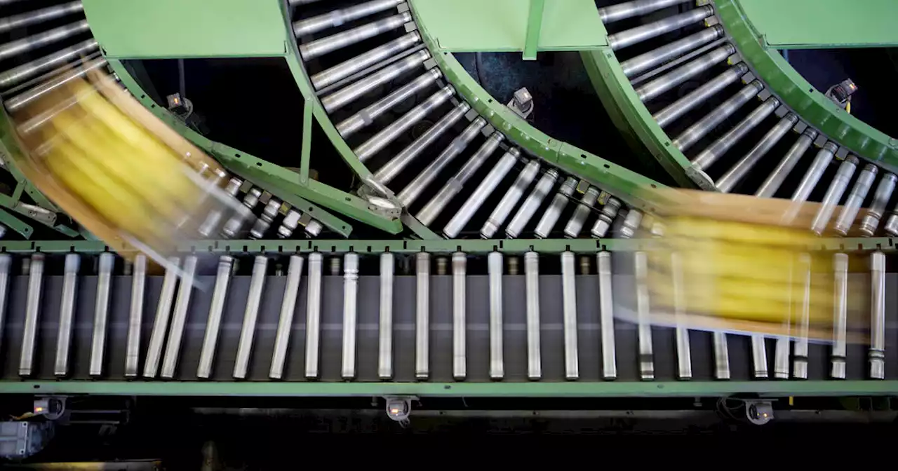 «La démence du percolateur», l’homme des machines