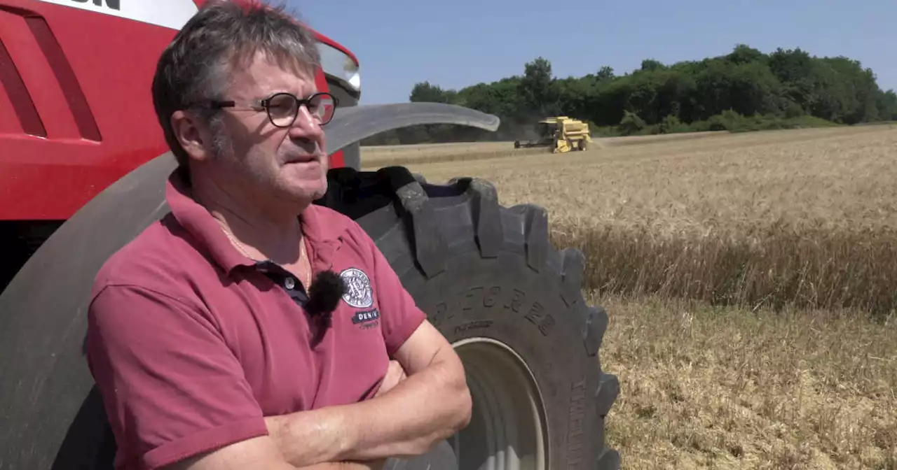 « La vie est dans le pré », l’écologie autrement