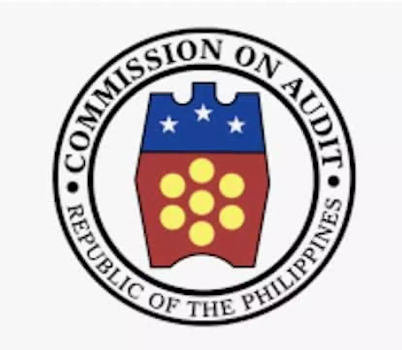 COA disallows P34M spent by Napocor for private health insurance of employees