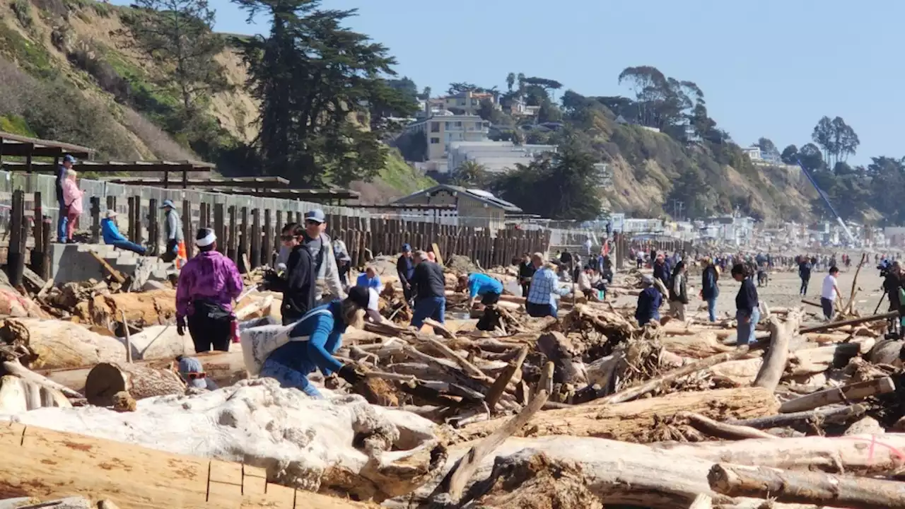 Hundreds clean up Seacliff Beach and say farewell to pier