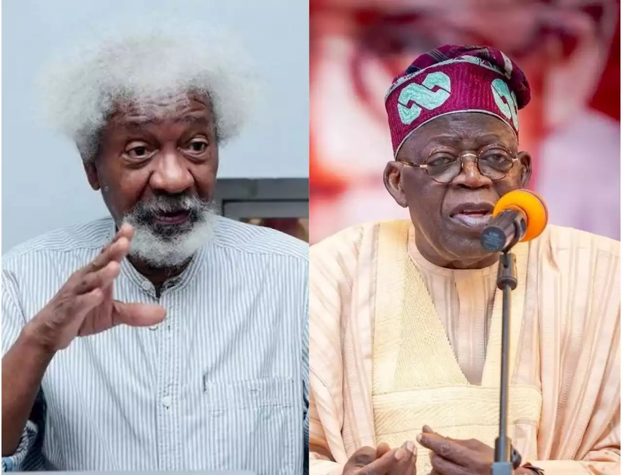 Soyinka disowns social media post endorsing Tinubu