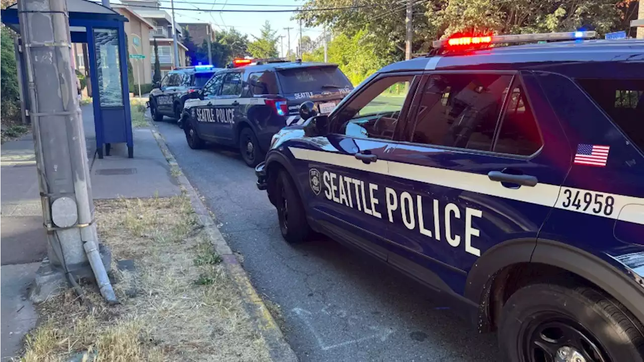 Police investigating carjacking, kidnapping in Seattle neighborhood