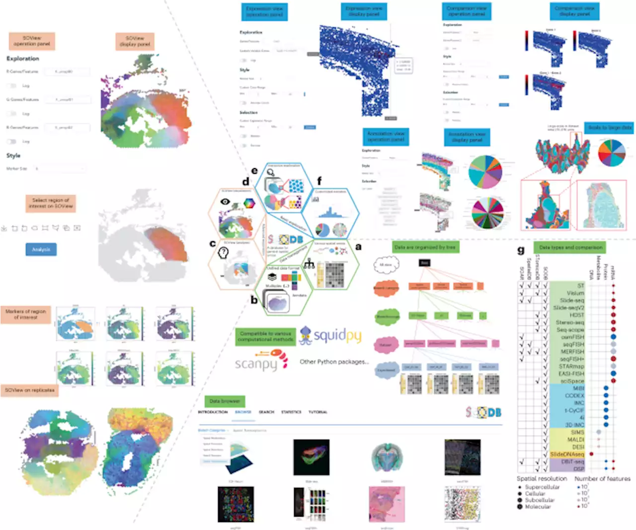 SODB facilitates comprehensive exploration of spatial omics data - Nature Methods