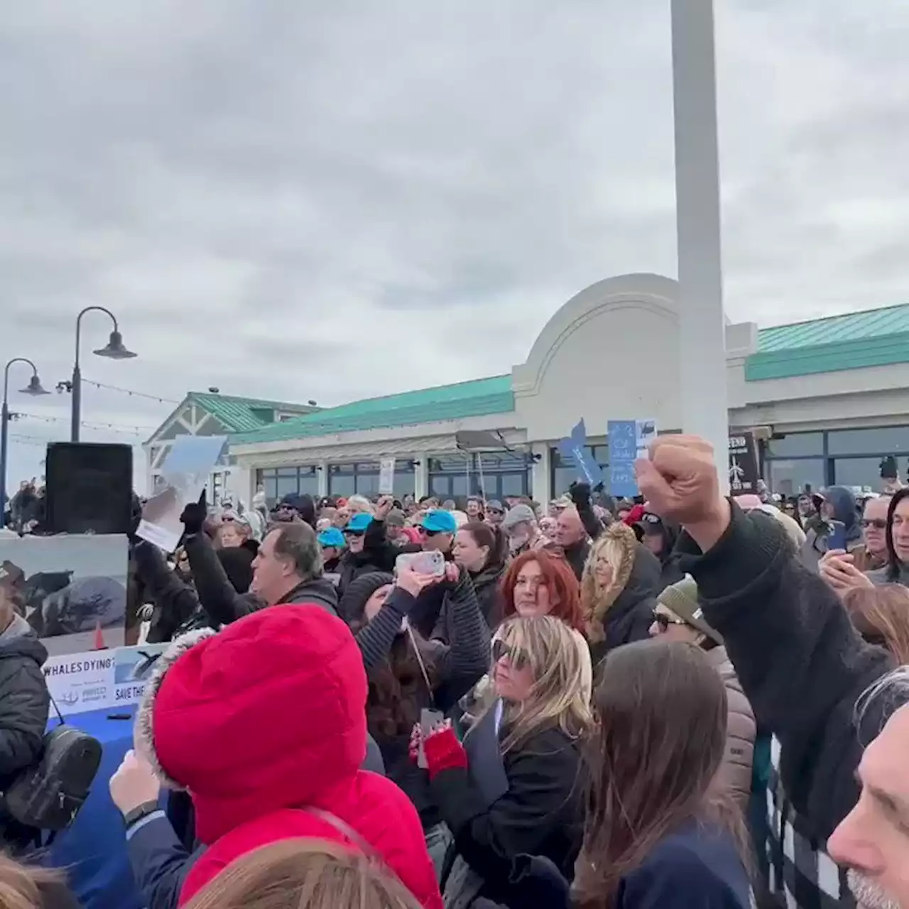 Save the Whales rally draws hundreds following scourge of whale deaths on NY, NJ beaches