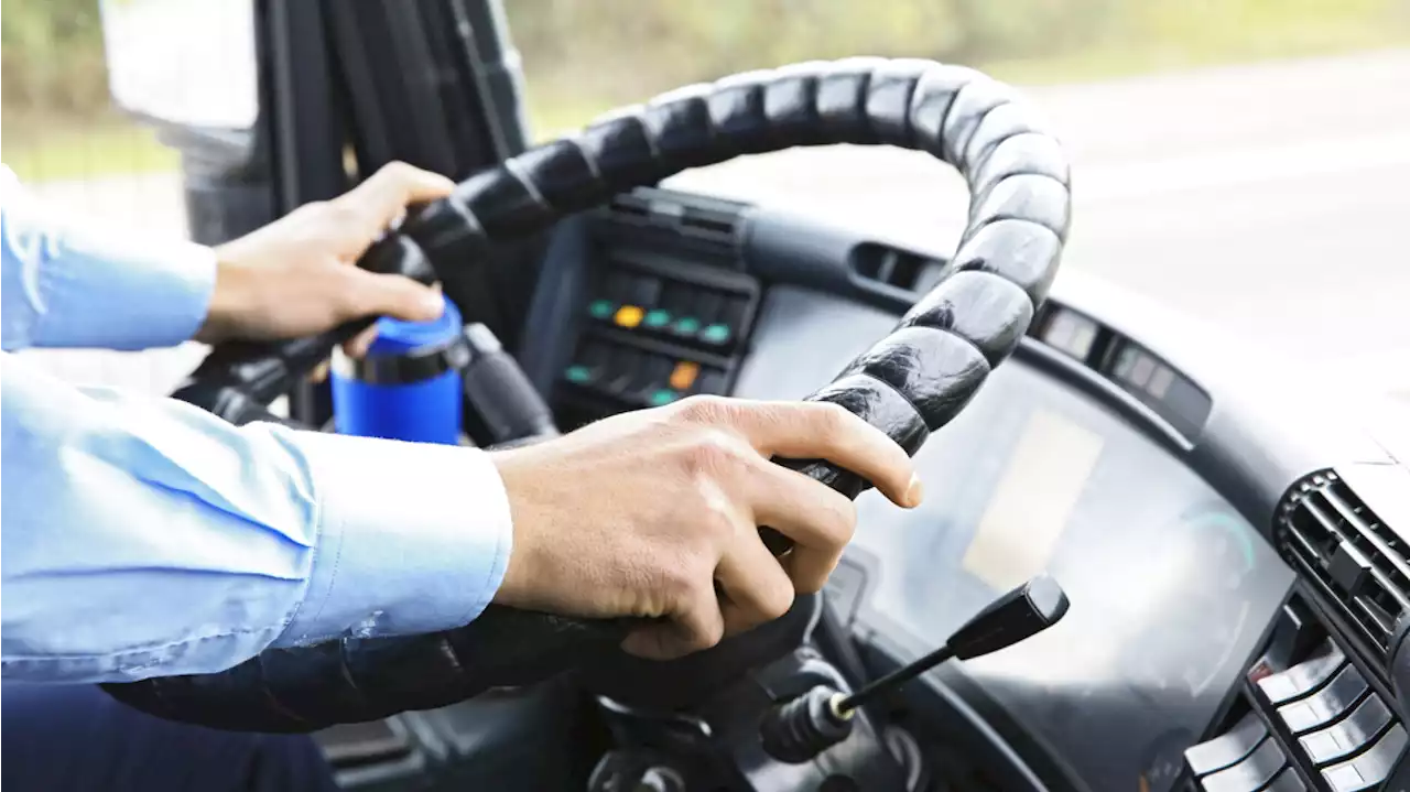 Im Job entlassen: Video belastet nach Streit in Linienbus den Fahrer