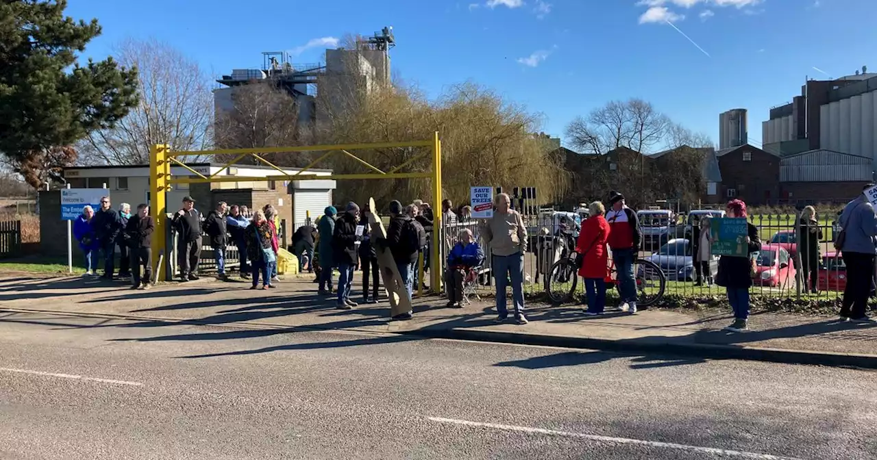 'Stand-off' over Wellingborough tree felling as protestors block contractors