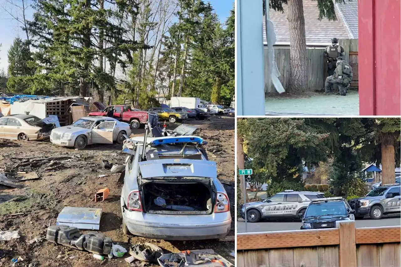 Band of criminal squatters reclaim property after SWAT team raid that found guns, stolen cars