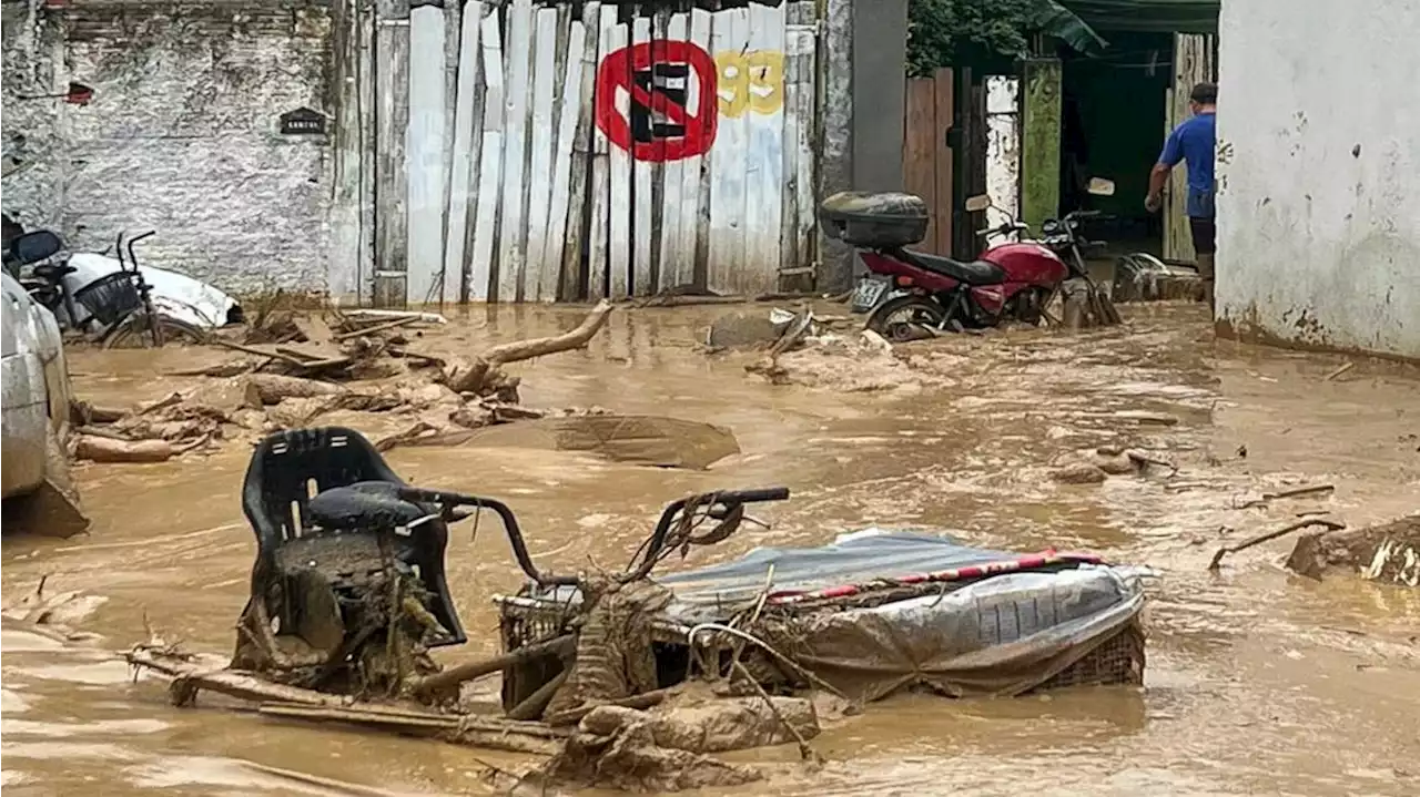 Brasil: un temporal arrasador dejó al menos 36 muertos en San Pablo